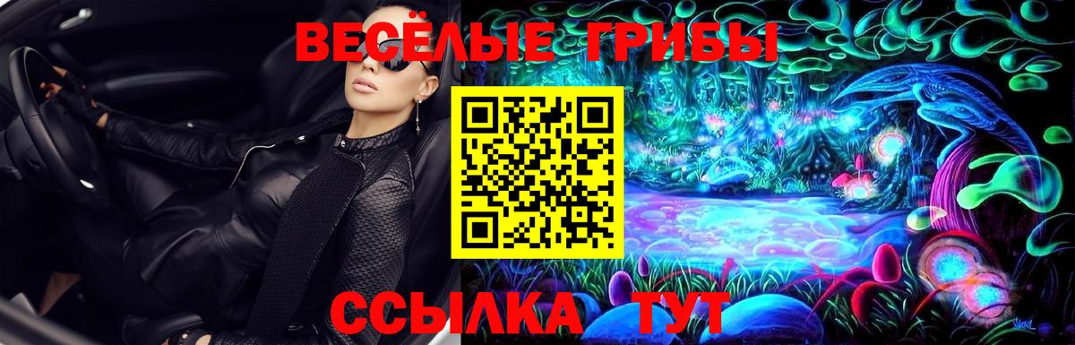 купить наркотик  Вход с VPN  Дубна  Галлюциногенные грибы Magic Shrooms 