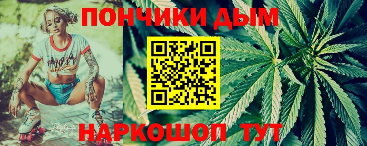Шишки марихуана план Дубна